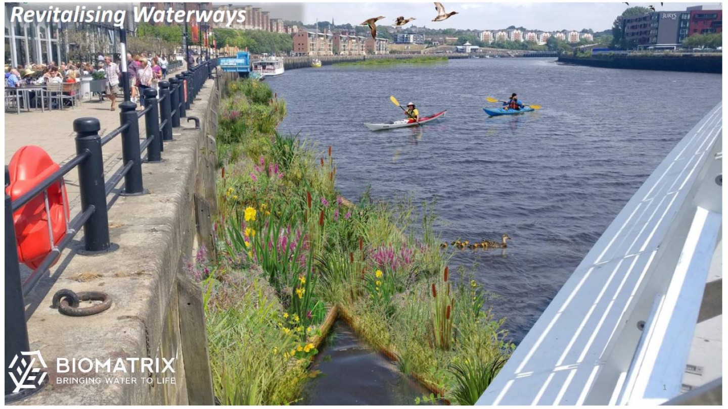 Floating ecosystem Newcastle